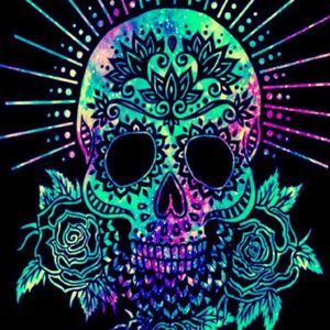 Meet your Posher, Mickey